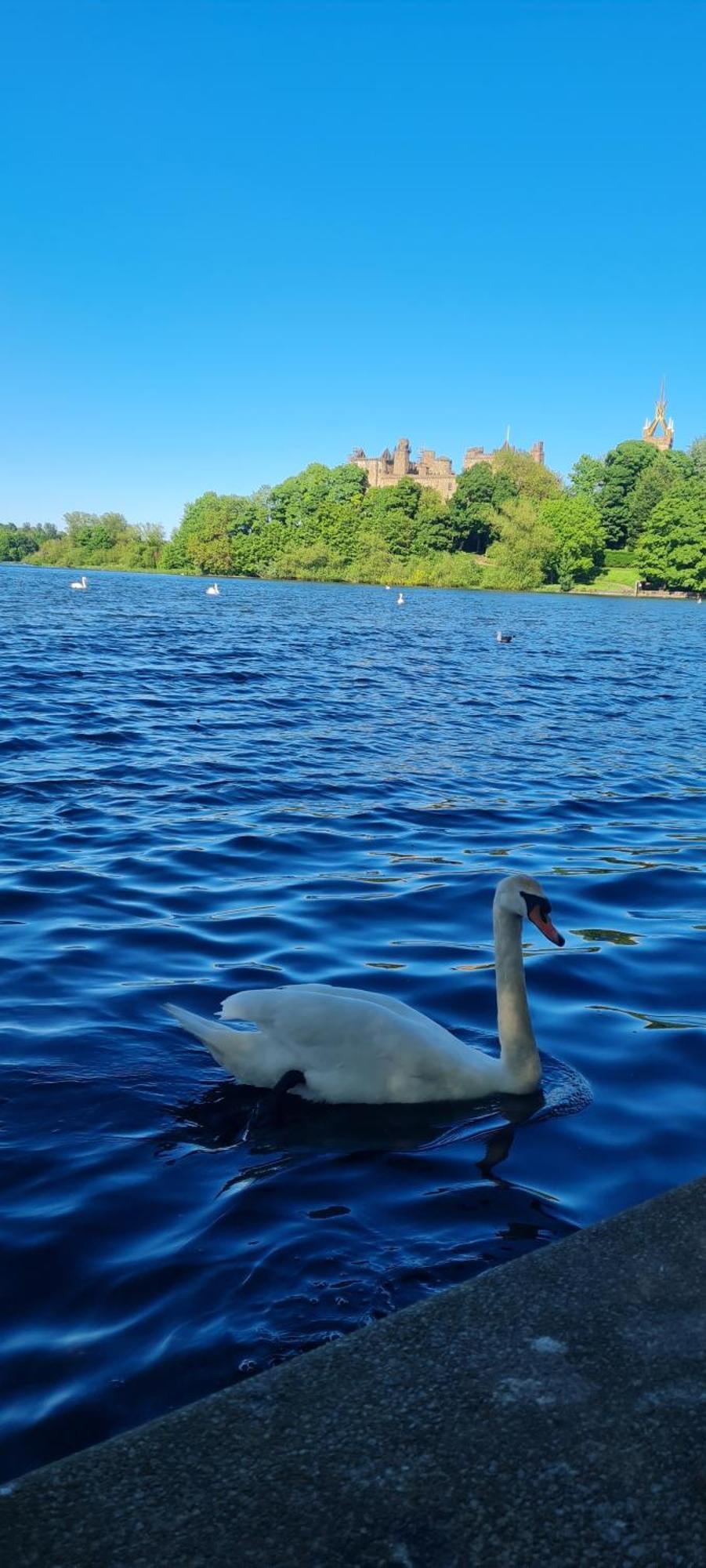 Stylish Home In Linlithgow With Free Parking Eksteriør bilde